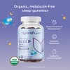 Hyland's Naturals Kids' Organic Sleep Calm + Immunity Melatonin-Free Gummies - 60ct - 2 of 4