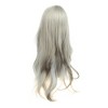 Unique Bargains Women's Curly Wigs 26" Gray with Wig Cap - 4 of 4