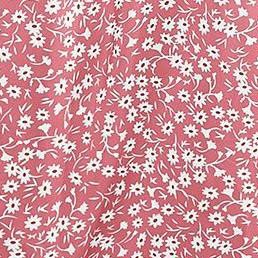 pink white flower