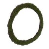 Vickerman Circular Twig Wreath. - 3 of 4