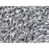 Noble House Crystal White-Black 4'x6' Rug - 2 of 2