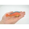 Collectible Wildlife Gifts | Red Snapper, Sebastes miniatus, Saltwater, Rubber Fish, Realistic, Model,  Toy, Gift,       4 1/2"        F0416  B378 - 3 of 4