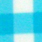 turquoise plaid