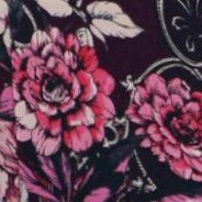 dark berry rose paisley