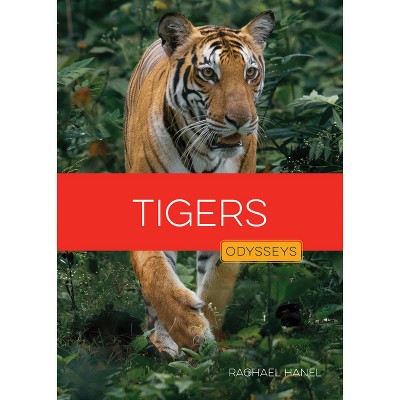 Tigers - by  Rachael Hanel (Paperback)