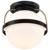 Nuvo Lighting Lakeshore 1 - Light Flush Mount in  Matte Black - 3 of 4