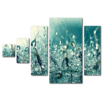 5pc Under the Sea by Beata Czyzowska Young - Trademark Fine Art