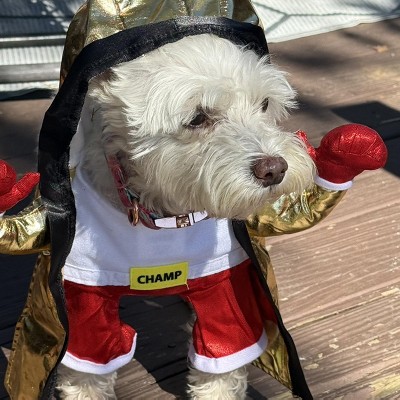 Guest review image 1 of 1, zoom in