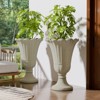 FONTOI 2 Pack Planters with Scalloped Rim, Outdoor Indoor Planters, Flower Plant Pots for Garden, Patio, Porch, Backyard, Beige, 15.75"*23.62"*15.75" - 2 of 4