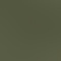 black olive