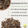 Soil Sunrise 2qt Orchid Potting Soil Mix; Fast Draining Healthy Media - 3 of 4