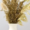 Mini Preserved Bundle and Vase Set - Hearth & Hand™ with Magnolia - 3 of 3