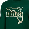 NCAA South Florida Bulls Men's Long Sleeve T-Shirt - 3 of 3
