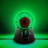 Silver Buffalo Supernatural Anti-Possession Symbol Light-Up Mini Snow Globe | 2.75 Inches Tall - 2 of 4