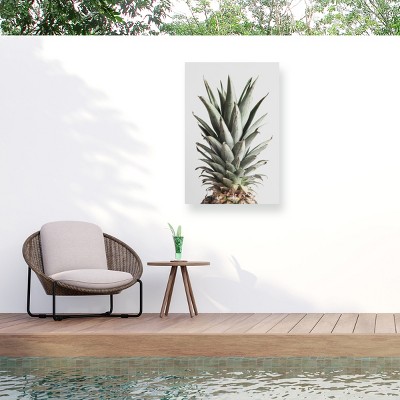 Trademark Fine Art - 1x Studio III Pineapple Natural 02 Matted Framed Art