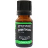 Plantlife Protect Essential Oil Blend – 100% Pure & Therapeutic – Natural, Undiluted & Immune-Supporting – No Additives – 10ml Aromatherapy - 2 of 4