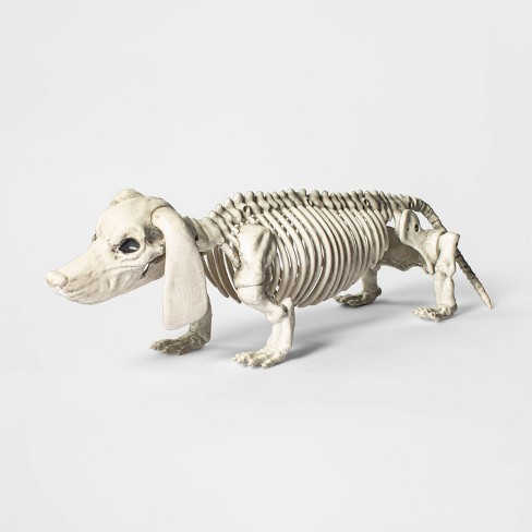 Dachshund Skeleton Halloween Decorative Prop - Hyde & Eek ...