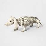 Dachshund Skeleton Halloween Decorative Prop - Hyde & EEK! Boutique™
