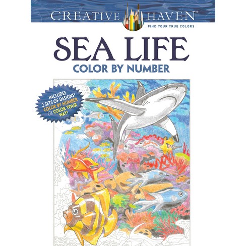 Creative Haven Birds Color By Number Coloring Book - (adult