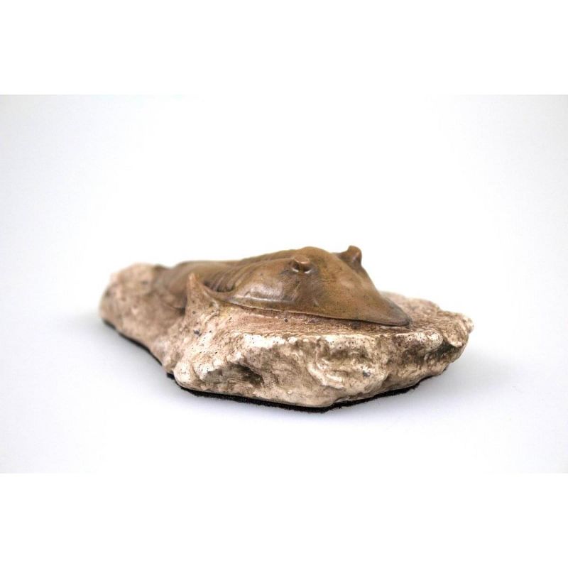 Master Replicas Smithsonian Trilobite in Sandstone Full-Scale Resin Fossil Replica, 3 of 4