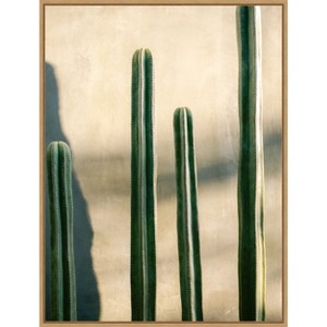 Amanti Art Oaxaca Shades of Green by Raisa Zwart Canvas Wall Art Print Framed - 1 of 4