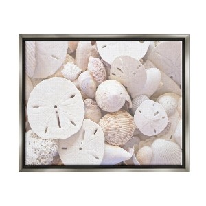 Stupell Industries White Mixed Sand Dollar Shells Framed Floater Canvas Wall Art - 1 of 4