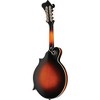 The Loar LM-520 Hand-Carved F-Model Acoustic Mandolin Sunburst - 2 of 4