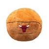 NBA Chicago Bulls Player Pal Plush Ball - 2 of 2