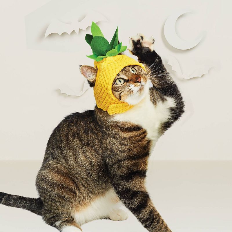 Halloween Pineapple Cat Costume - Hyde &#38; EEK! Boutique&#8482;, 1 of 12
