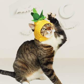 Halloween Pineapple Cat Costume - Hyde & EEK! Boutique™