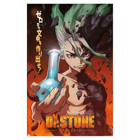 Trends International Dr Stone One Sheet Framed Wall Poster Prints Target