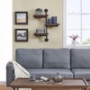 Danya B. 31.1" x 24.2" 3 Tier Industrial Pipe Wall Shelf Brown/Black: Hardwood & Metal, Open Shelving Storage - 3 of 4