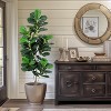 Acekool Faux Fiddle Leaf Fig Tree Artificial Indoor Plant with Realistic Green Leaves and Stable Pot for Home and Office Decor - 2 of 4