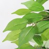 KTMBDW 6ft Ficus Artificial Trees with Natural Curved Trunk, 72" Tall Lush Faux Tree for Home Decor Indoor, Lifelike Fake Artificial Plants - 3 of 4