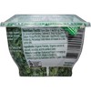 Gourmet Garden Lightly Dried Parsley - 0.35oz - image 4 of 4