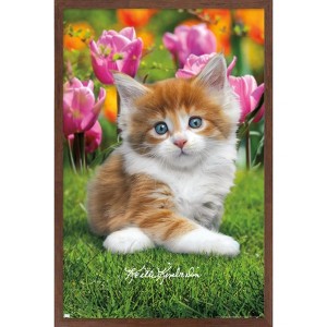 Trends International Keith Kimberlin - Maine Coon Kitten Framed Wall Poster Prints - 1 of 4