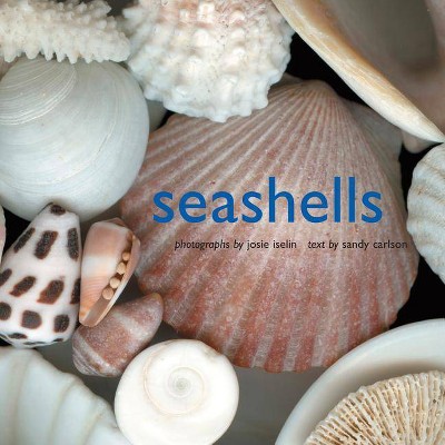 Seashells - by  Josie Iselin & Sandy Carlson (Hardcover)