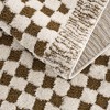 Hauteloom Leryn Brown Checkered Plush Rug - 3 of 4