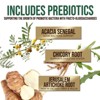 Probiotics 60 Billion CFU + 10 Strains - Daily Probiotic for Immune, Digestive & Gut Support, Prebiotics and Probiotics Supports - 120 Capsules - 4 of 4