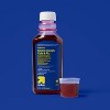 Severe Nighttime Cold & Flu Liquid - Berry - 12 fl oz - up&up™ - image 2 of 3