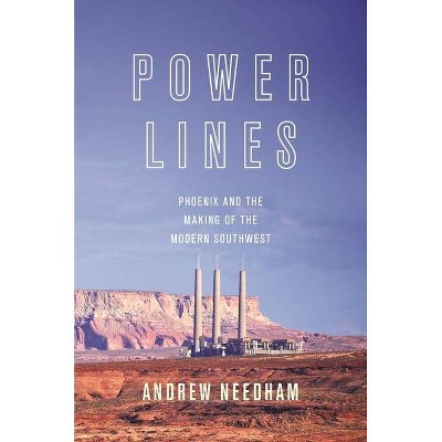 Power Lines - (Politics and Society in Modern America) by  Andrew Needham (Paperback)