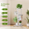 Iron Pipe Indoor Home 4-Tier 5-Pot Balcony Storage Rack, Iron Art Floor Living Room Simple Flower Pot Multi-Layer Hanging Stand - 4 of 4