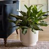 Bloem Harlow Round Resin Planter Pot Indoor and Outdoor Gardening - 2 of 4