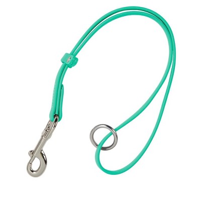 Groomer Essentials Waterproof Grooming Loop - Turquoise