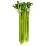 Organic Celery - each
