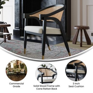 Taylor & Logan Ruthie Cane Rattan Dining and Accent Chair - 1 of 4