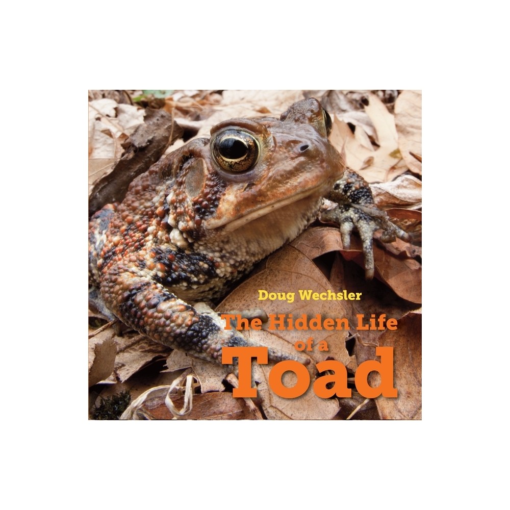 The Hidden Life of a Toad - by Doug Wechsler (Hardcover)