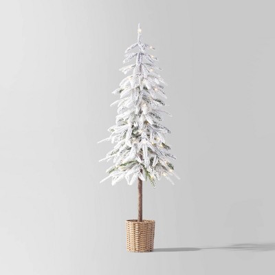 Christmas Trees : Target