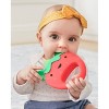 Skip Hop Berry Band Set - 3pc