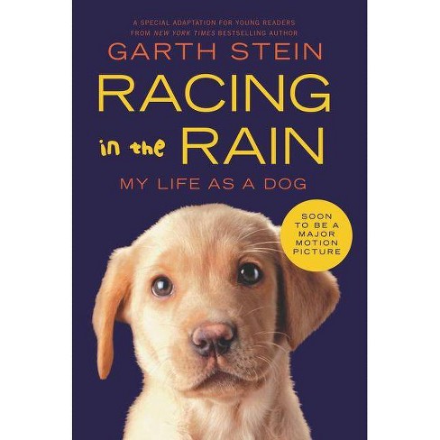 the art of racing in the rain book author